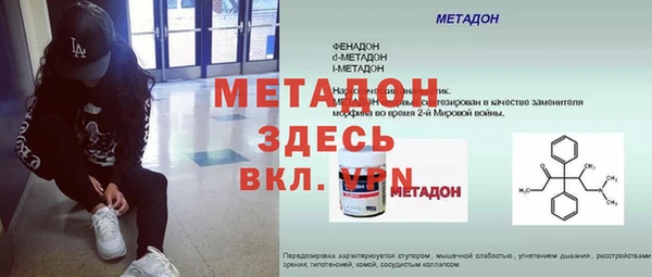 прущие грибы Инта